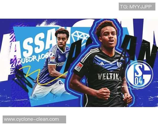 沙尔克04官方宣布签下新球员,实力助阵新赛季战况